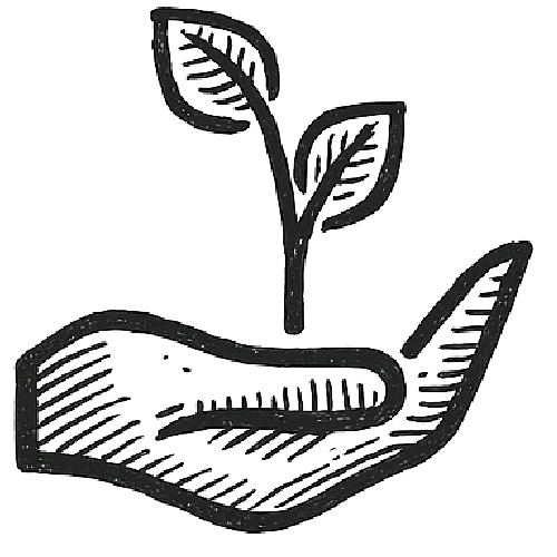 Growth